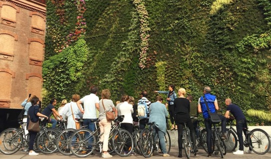 Eco-friendly Experiences in Madrid