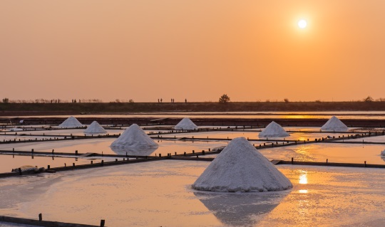 Maritime & Salt Facets