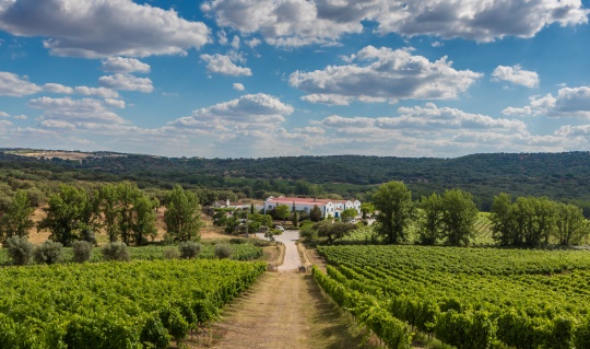 A blissful location in the North of Alentejo