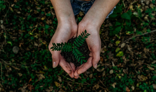 A Spain with more quality and sustainability