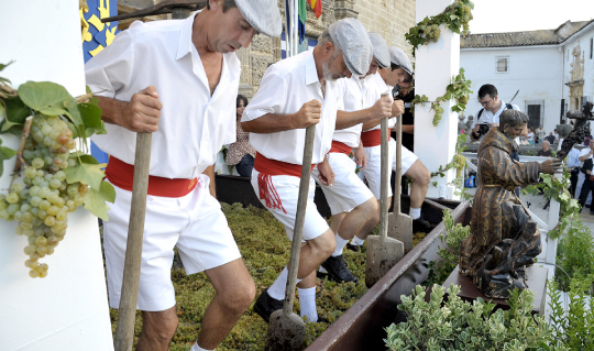 Jerez and the Birth of the New Wine