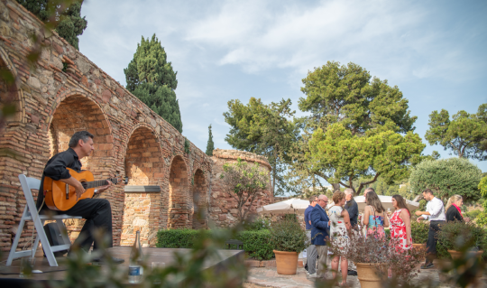 Flamenco, Vineyards, and Memories