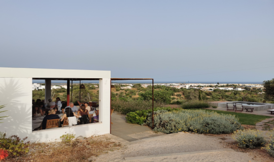 Dinner at the Farm: Algarve’s Authentic Feast