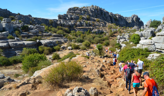Andalucía's Golden Autumn 