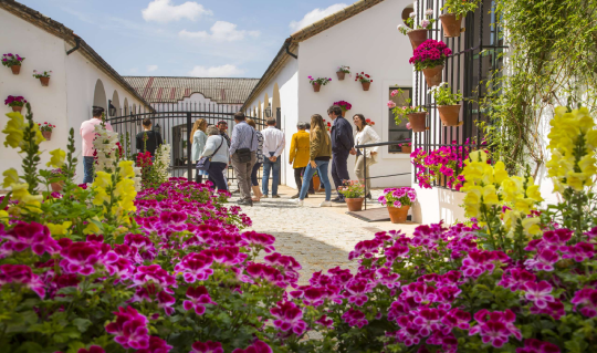 Flavors of Passion: The Andalusia That Captivates