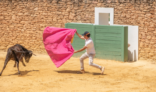 Flamenco, Vineyards, and Memories