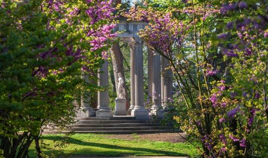 Floral Experiences with a Touch of Luxury