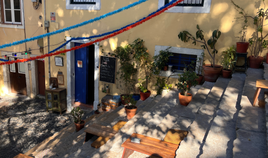  Plant-based dining meets teambuilding 