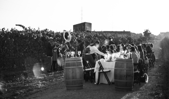 A Legacy Winery in the Heart of Mallorca