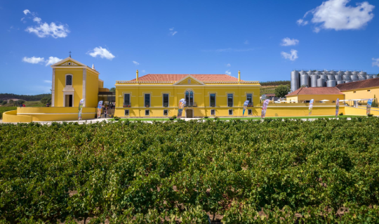 Lisbon's Sophisticated Wine Haven