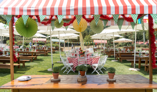 Trading Boardrooms for Portuguese Cultural Magic 