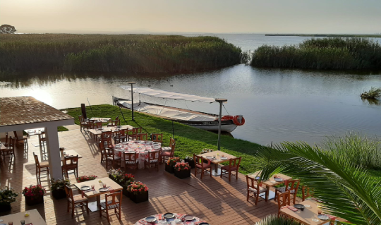 A Mediterranean Tapestry of Flavors and Charm