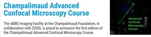 Champalimaud Advanced Confocal Microscopy Course
